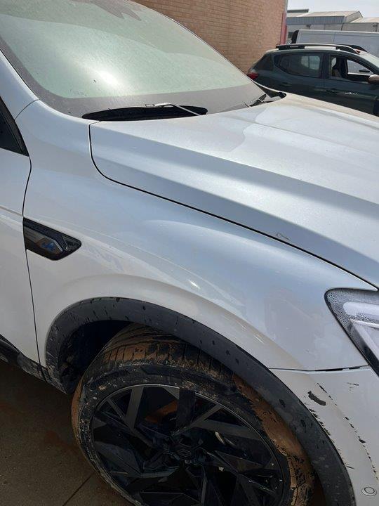 aleta delantera derecha renault arkana (eu version) esprit alpine