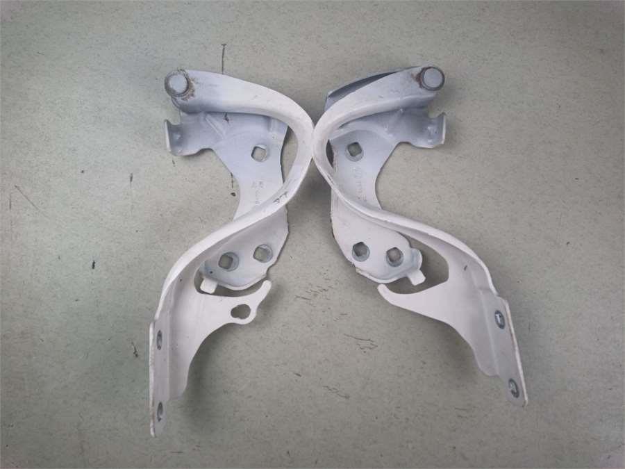 bisagra capo derecha fiat 500 (150) berlina (2007 >) lounge