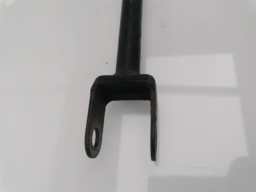 Brazo Inferior Trasero Izquierdo