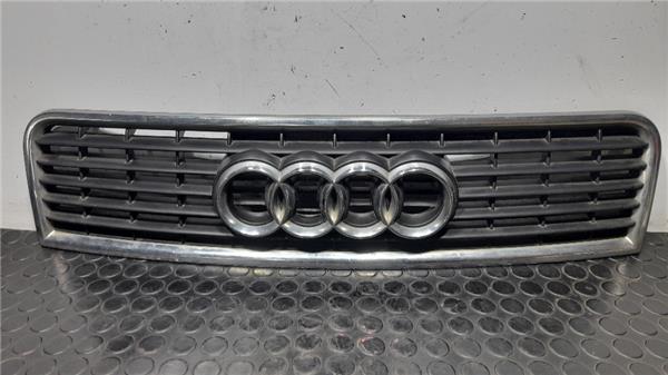 Rejilla Capo Audi A4 Berlina 