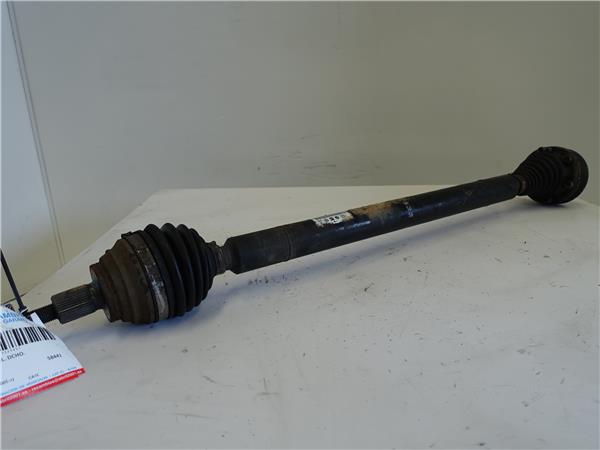 palier delantero derecho seat leon (1p1)(05.2005 >) 1.6 tdi