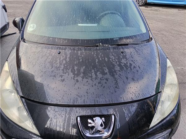 capo peugeot 207 sw 2007 16 hdi