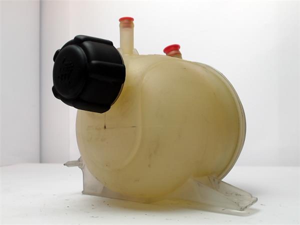 botella expansion renault kangoo 4x4 (2001 >) 1.9 rapid [1,9 ltr.   59 kw dti diesel]
