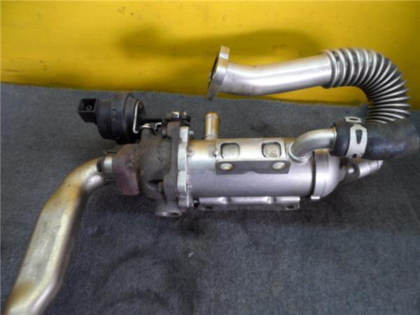 Intercambiador Agua Gases Renault II