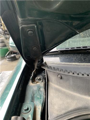 bisagra capo derecha seat toledo 1m2 031999