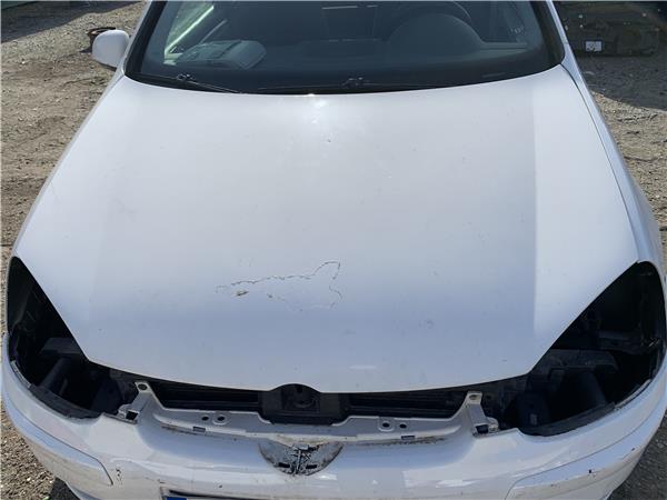 capo volkswagen golf v 1k1 2003 19 tdi