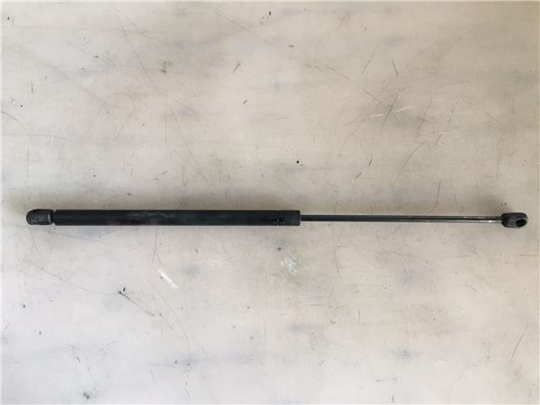 amortiguador capo peugeot 206 1998 14 i