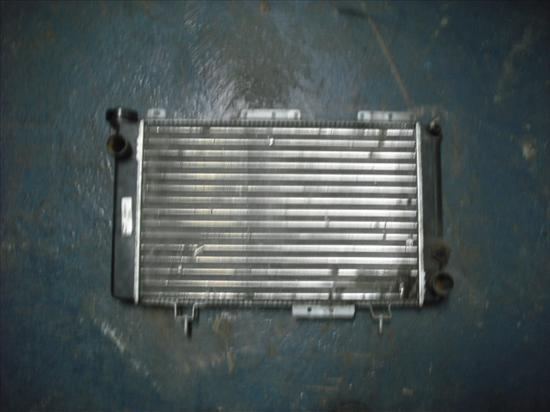 radiador renault 4 lim./ kombi/ kasten (1961 >) 