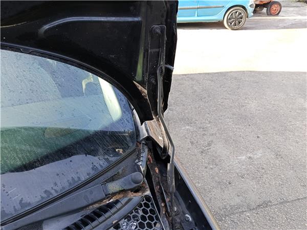 bisagra capo izquierda peugeot 207 sw 2007 1