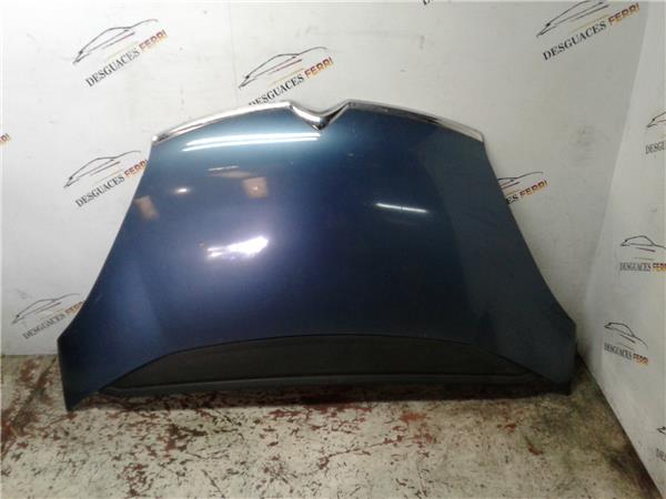 capo citroen c4 grand picasso 102006 16 busi