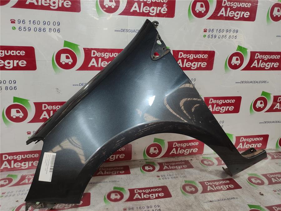 aleta delantera izquierda renault clio iii exception