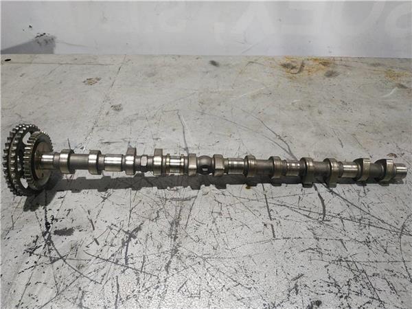 arbol de levas mercedes clase s w220 berlina