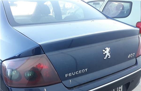 Porton Trasero Peugeot 407 2.0 HDi