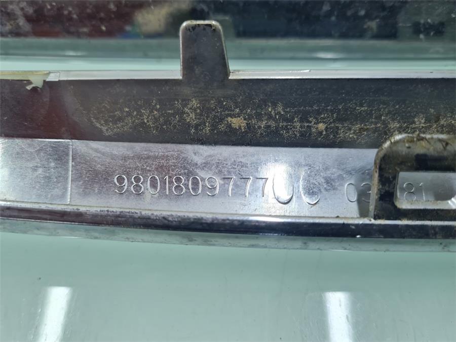 Moldura Aleta Delantera Derecha C3