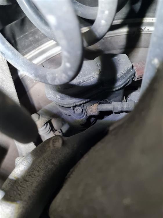 pinza freno trasero derecha audi q5 (8r) 2.0 tdi (125kw)