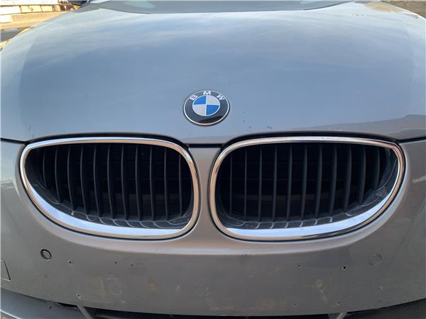 ▷ Rejilla Capo BMW Serie 5 Berlina 3.0, Desguace