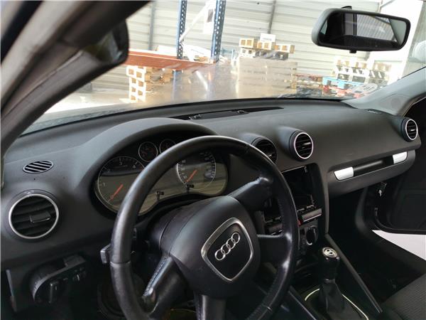 Salpicadero Audi A3 1.9 TDI Ambiente