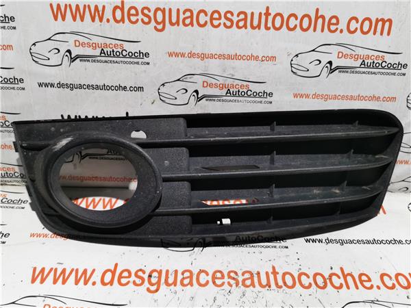 Rejilla Paragolpes Delantero Audi A4