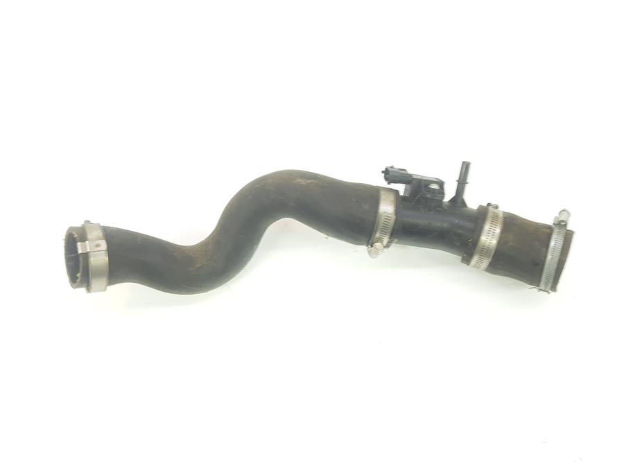 tubo intercooler ford focus berlina (cb8) trend