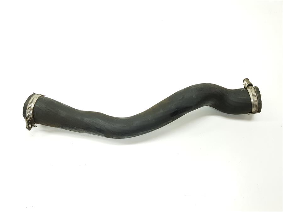 tubo intercooler ford focus berlina (cb8) trend