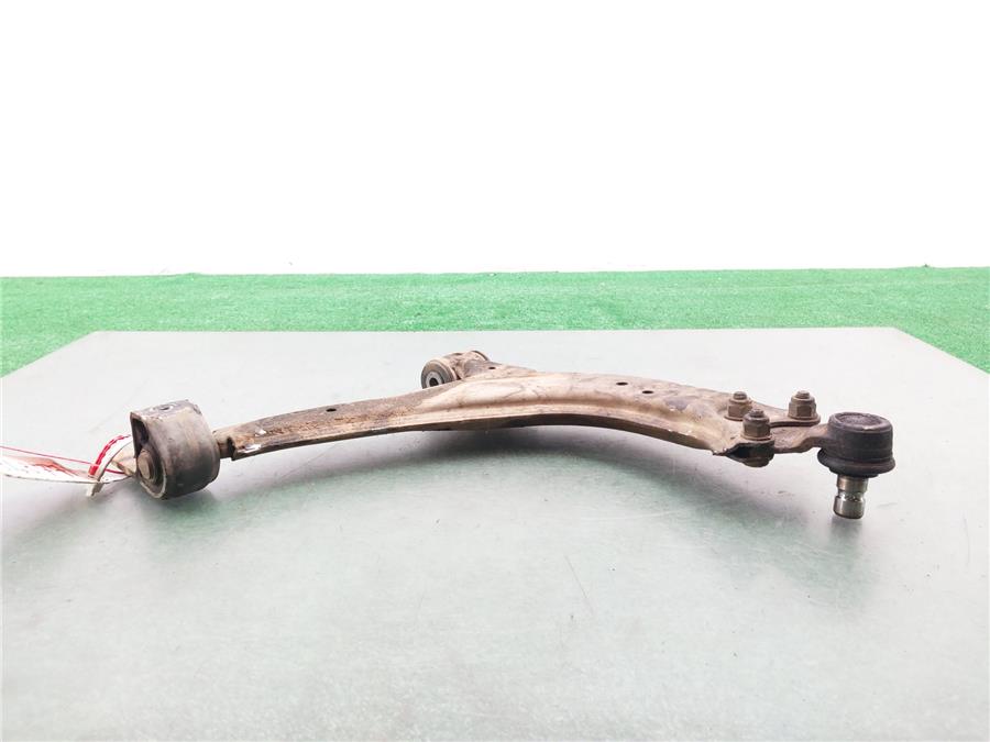 Brazo Inferior Delantero Izquierdo /