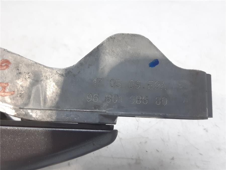 Maneta Exterior Trasera Izquierda C5