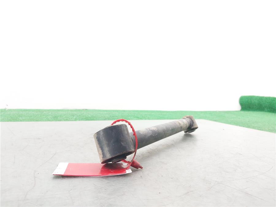 Brazo Inferior Trasero Izquierdo S