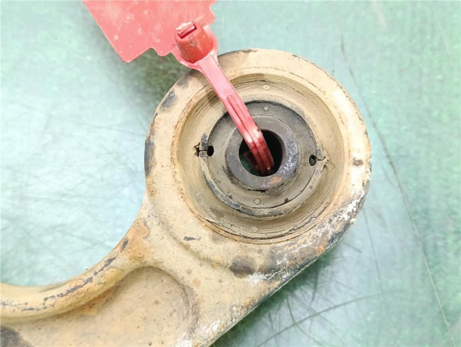 Brazo Inferior Trasero Izquierdo 2.5