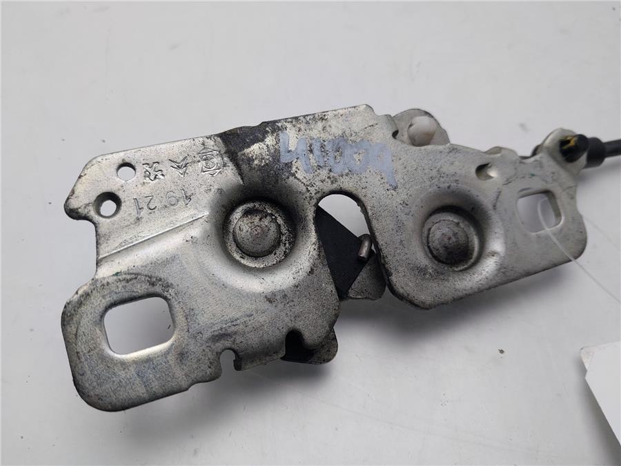 capo peugeot business line