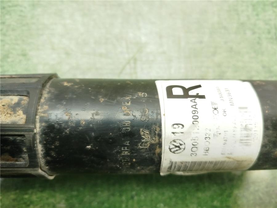 Amortiguador Trasero Derecho PASSAT