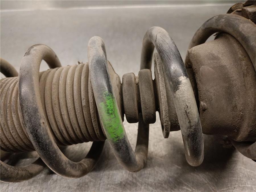 Amortiguador Trasero Izquierdo 1.9