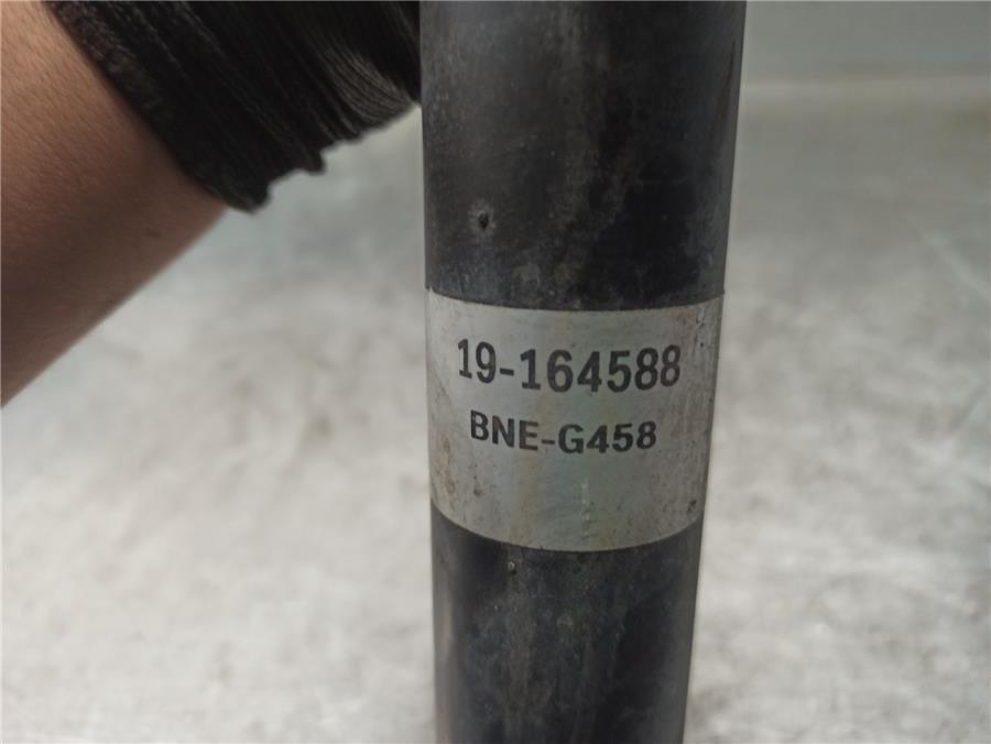 Amortiguador Trasero Izquierdo NOTE