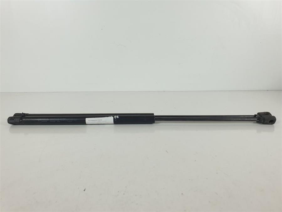 amortiguador porton renault scenic ii (x84,jm) 1.5 dci diesel