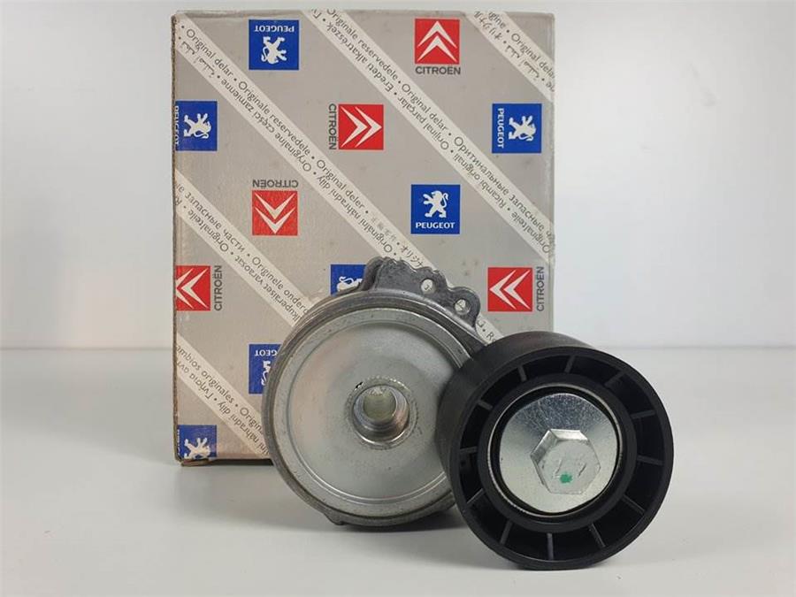tensor correa auxiliar peugeot 307 break / sw (s1) sw