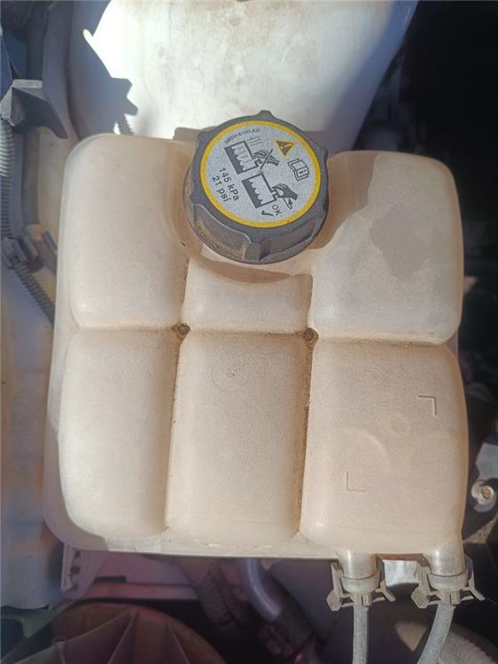 botella expansion ford focus berlina (cew) sport