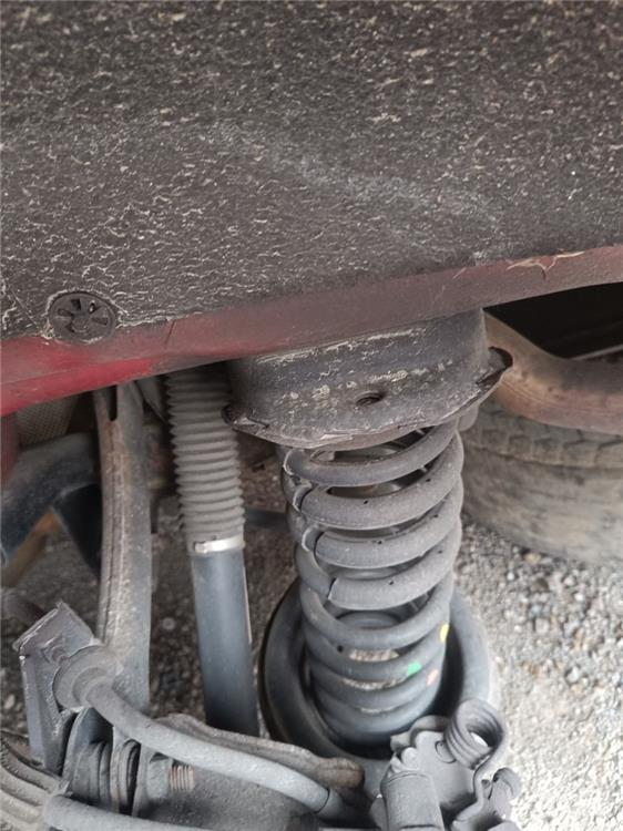 amortiguador trasero izquierdo ford focus berlina (cew) trend