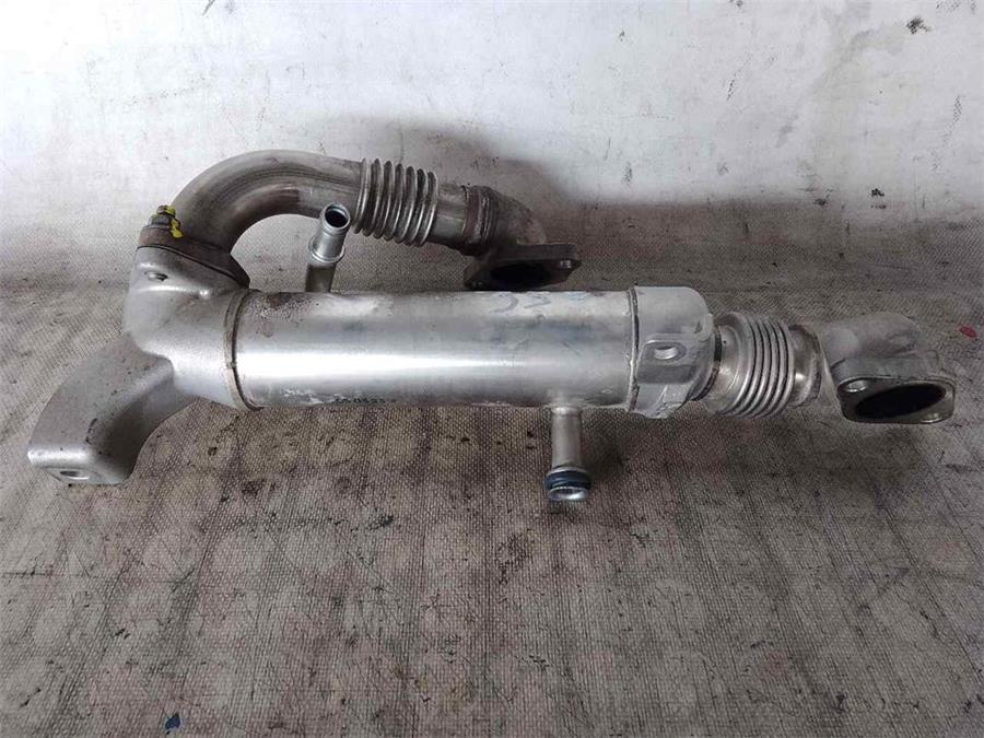 Enfriador Gases Egr HONDA ACCORD