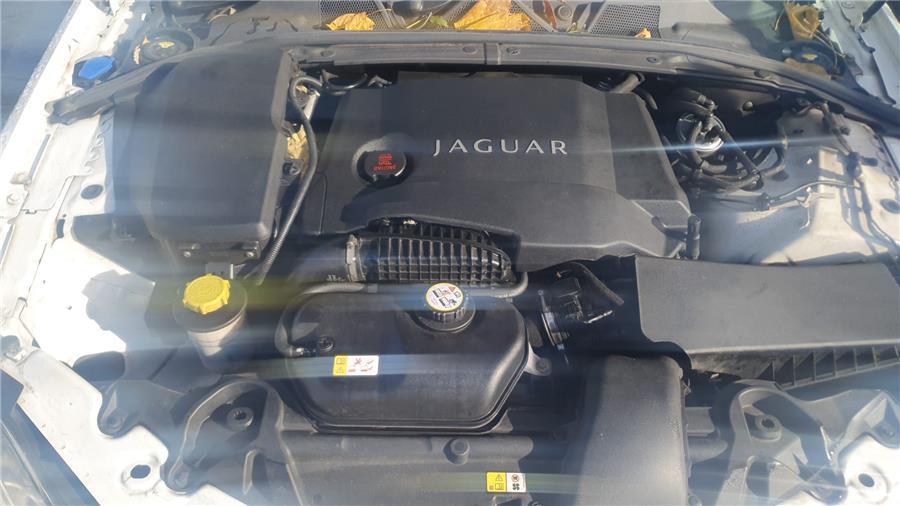 motor completo jaguar xf 3.0 v6 d (241 cv)