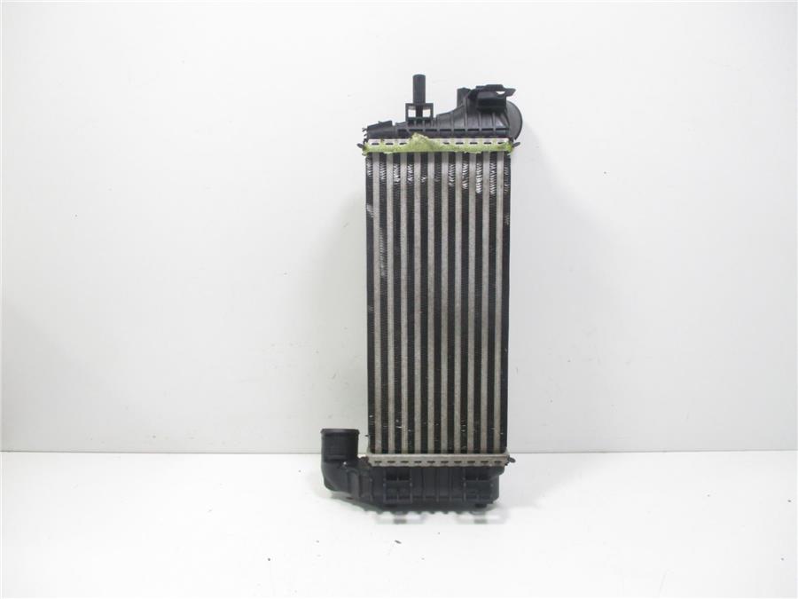 Intercooler FORD TOURNEO CONNECT TZGA