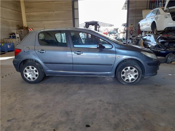 Nucleo Abs Peugeot 307 BERLINA 1.6