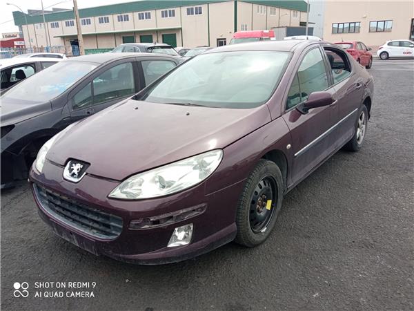 Nucleo Abs Peugeot 407 1.6 Business