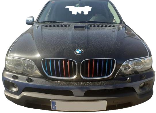 Bomba Servodireccion BMW Serie X5