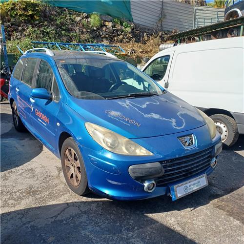 Paragolpes Trasero Peugeot 307 SW SW