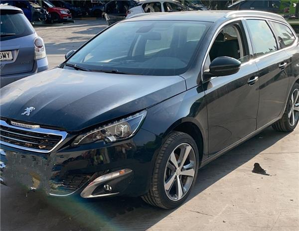 Grupo Diferencial Trasero Peugeot SW