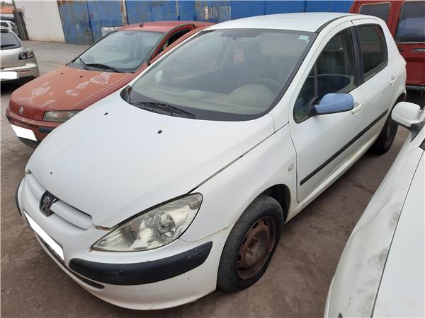 Nucleo Abs Peugeot 307 2.0 XS