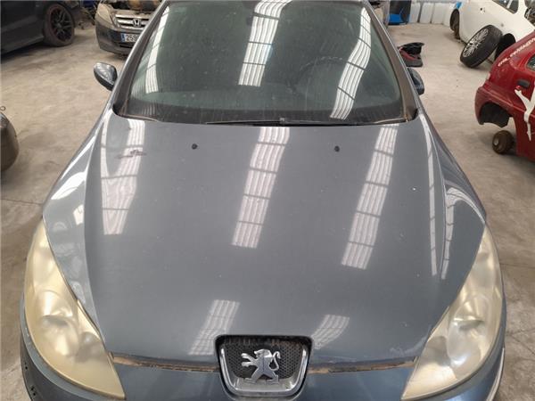 capo peugeot 407 2004  20 hdi 135