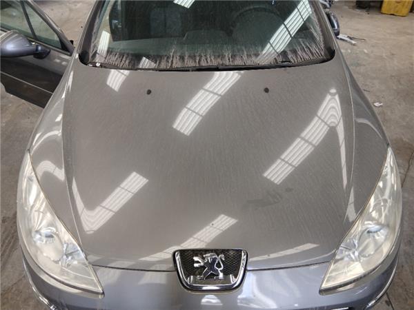 capo peugeot 407 2004 20 sport 20 ltr 103