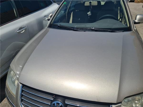 capo volkswagen passat berlina 3b3 2000  19 t