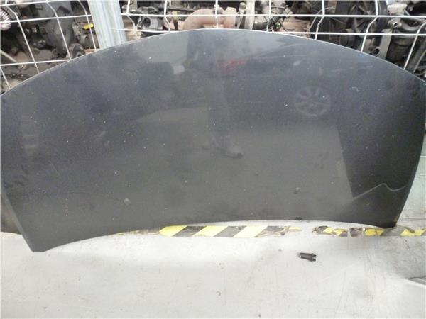 capo renault clio iii 2005 15 business 15 lt