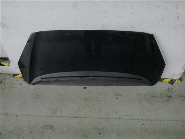 capo peugeot 1007 2005 14 dolce 14 ltr 50